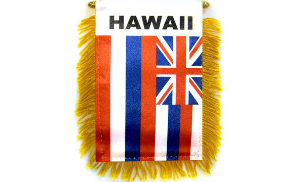 hawaii mini banner