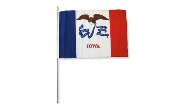 iowa 12x18in stick flag