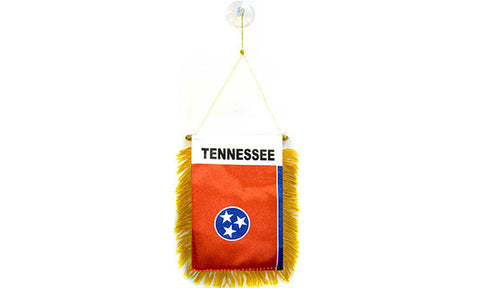Tennessee Mini Banner