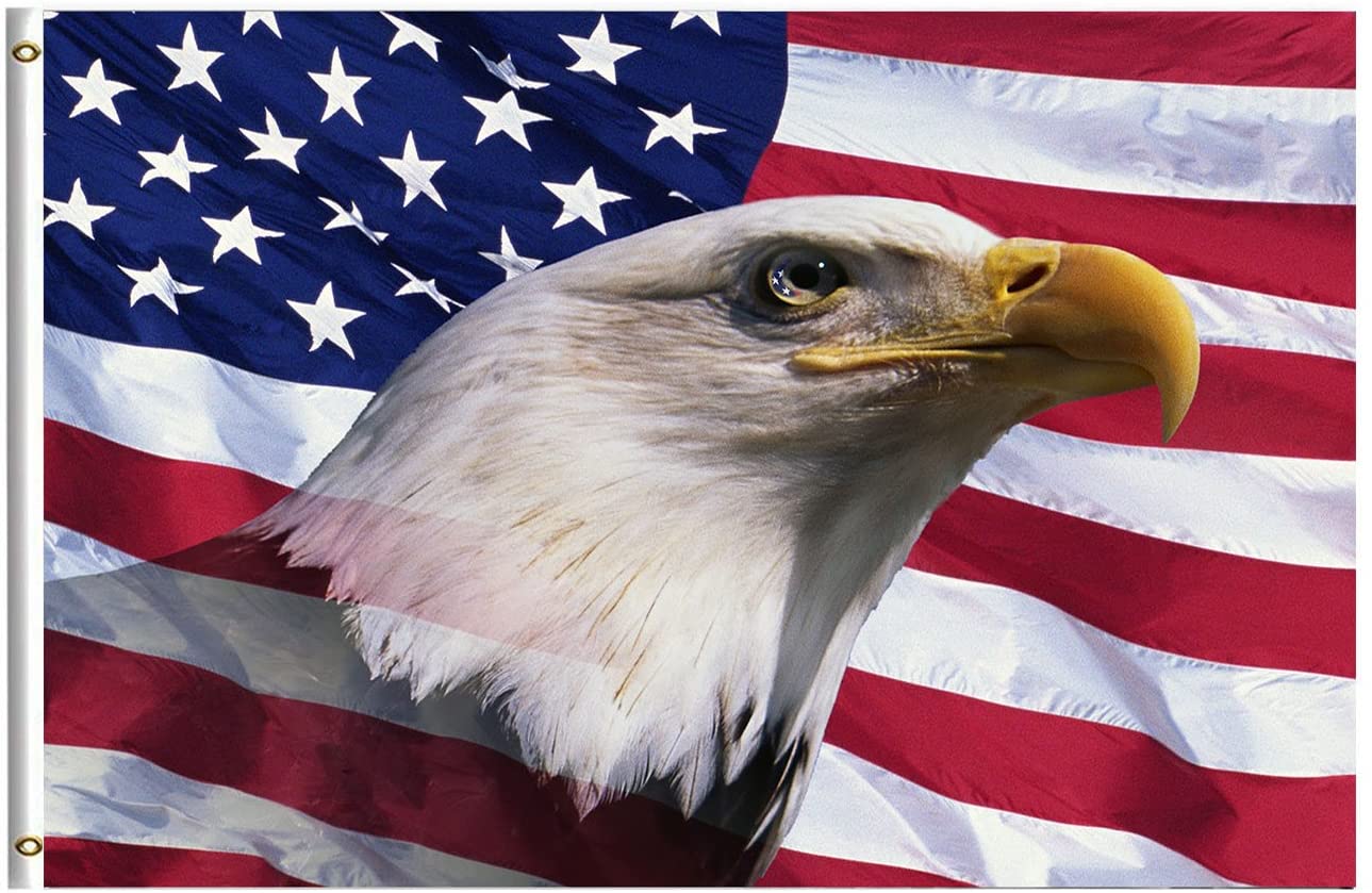 eagle american flag