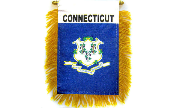 connecticut mini banner