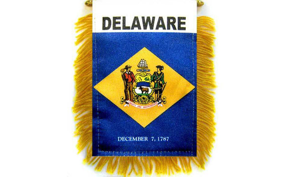 delaware mini banner