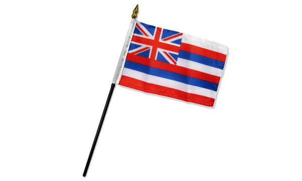 hawaii 4x6in stick flag
