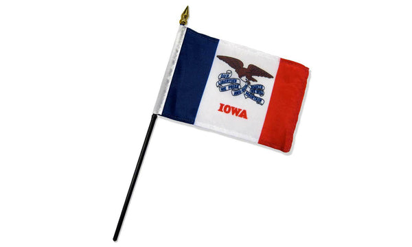 iowa 4x6in stick flag