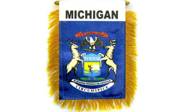 Bandierina Mini Michigan 4x6 Pollici Con Ventosa – Bandiera USA Per Auto O Finestra - Foto 3
