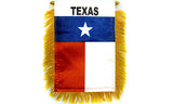 Texas Mini Banner