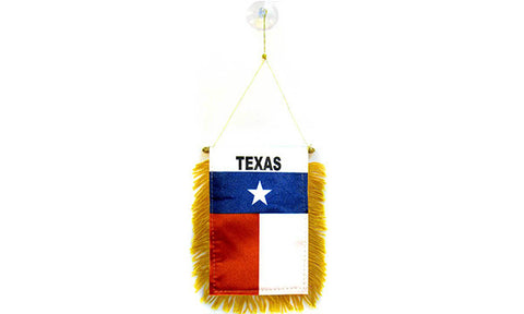 Texas Mini Banner